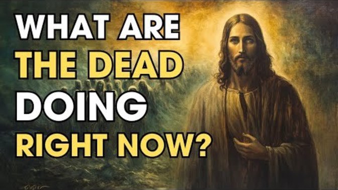 What Are The Dead Doing Right Now? Do You Want to Know the Stunning Truth?