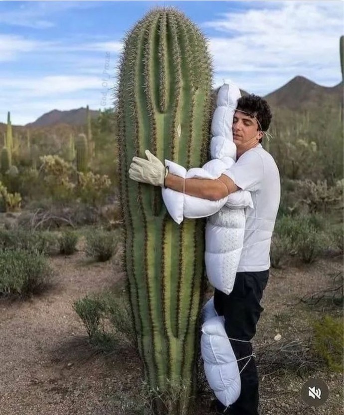 What do you need to hug?