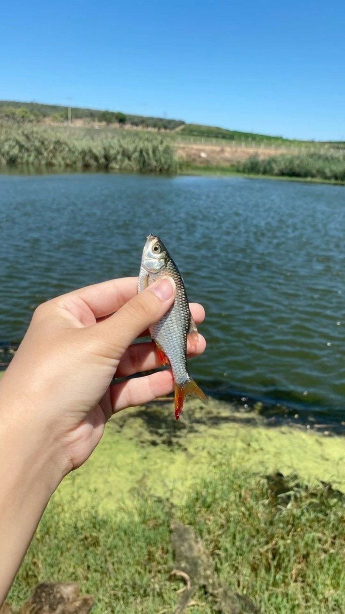 What do you like to hold?