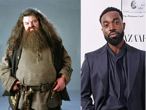 Who makes the better action movie star... the White man, the Black man, or the Asian man?