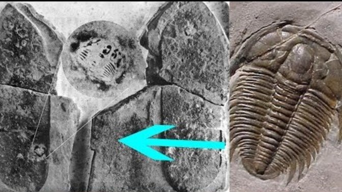 ¯\_(ツ)_/¯ 500 Million-Year-Old Human Footprint Fossil Baffles Scientists? What do you think this is?