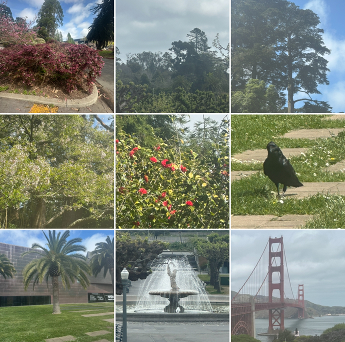 How do these San Francisco photos look part 2?