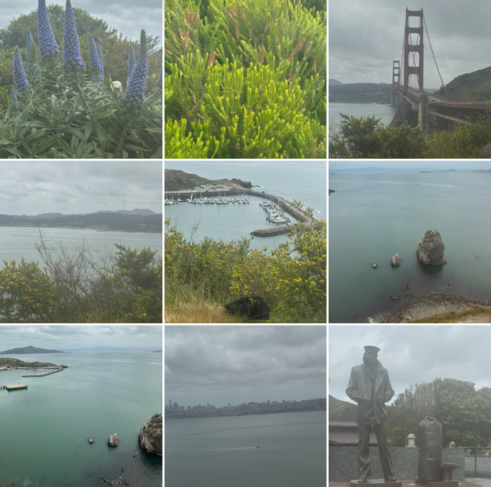 How do these San Francisco photos look part 2?