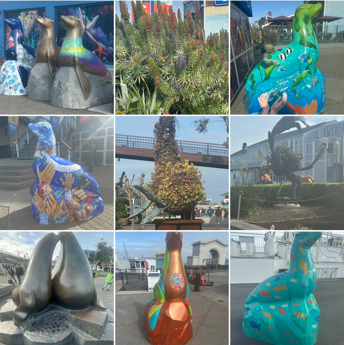 How do these San Francisco photos look part 2?