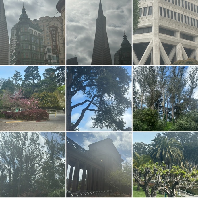 How do these San Francisco photos look part 2?