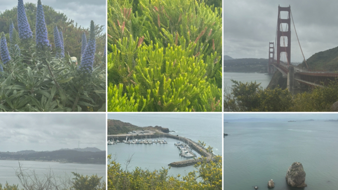 How do these San Francisco photos look part 2?