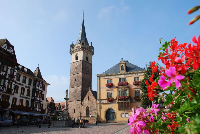 Would you rather visit Aosta valley or Obernai?
