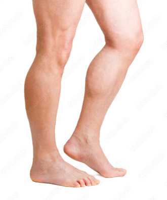 Legs #2