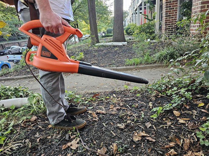 Leaf blowers are one of the most annoying things ever invented. Agree or disagree?