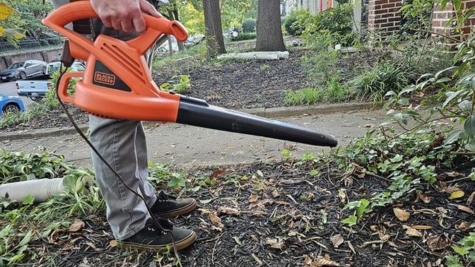 Leaf blowers are one of the most annoying things ever invented. Agree or disagree?