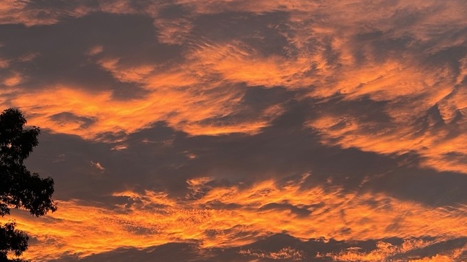 What do you think of this Pic?