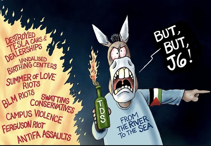 Should "due process" apply to American citizens or just gang members in the country illegally?