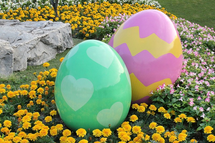 🥚✨️