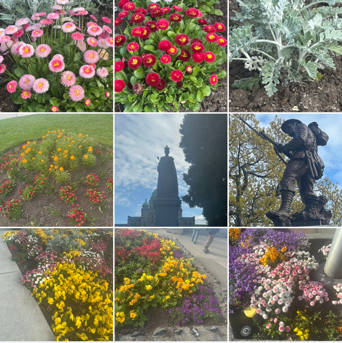 How do these British Columbia, Canada photos look?