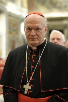 Cardinal Erdo