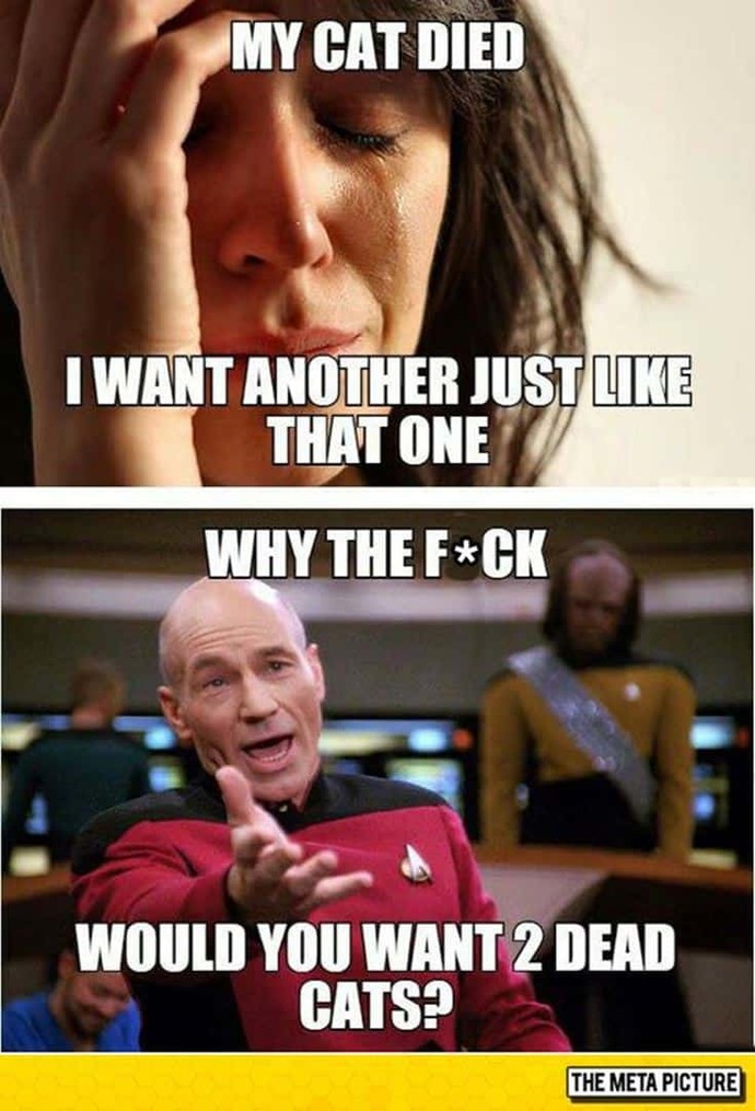 What is the funniest meme of all time, in your opinion? Share it please, lol?