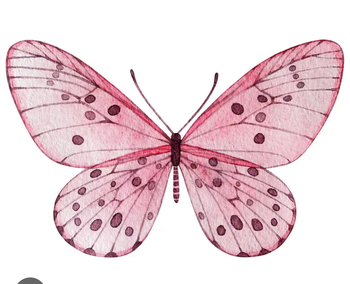 Hello men of gag! Which tattoo would look the nicest near the intimate area on a female?