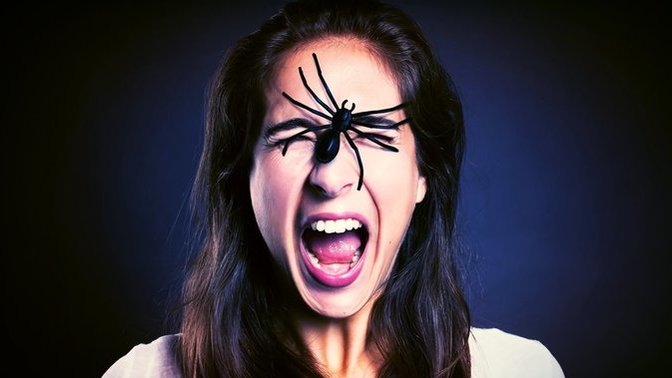What do you do when you see a bug at home?