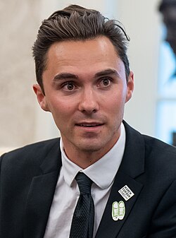 Who would win in a fair fight, David Hogg or Kyle Rittenhouse?