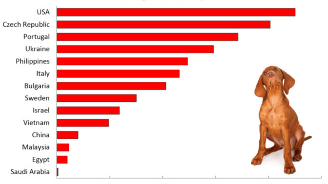 Do Americans have a reputation for being particularly fond of dogs when compared to people from other countries?