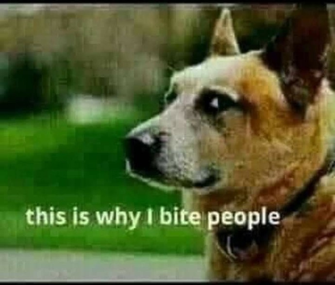 Have you ever thought, I need to get out more, then under the same breath say, eh , I dont like people enough 🤣 then you end up not going out?