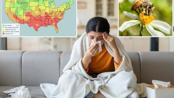 How bad are your allergies in your region?