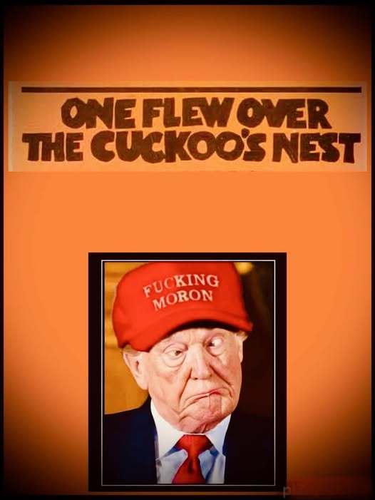Everyone has different ideas of what a dumb person is, but what are some things that make you think someone is dumb?