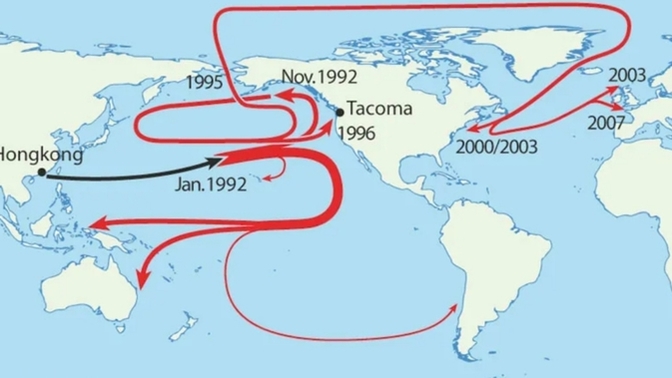 What does this interesting MAP show?