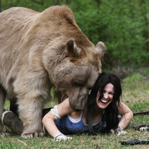 Why do women love bears?