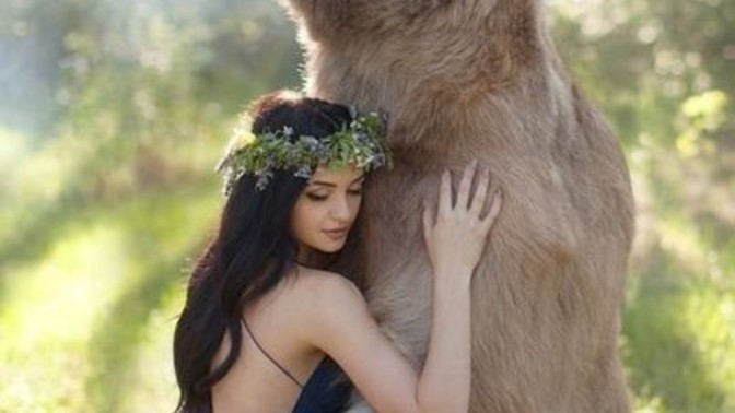 Why do women love bears?