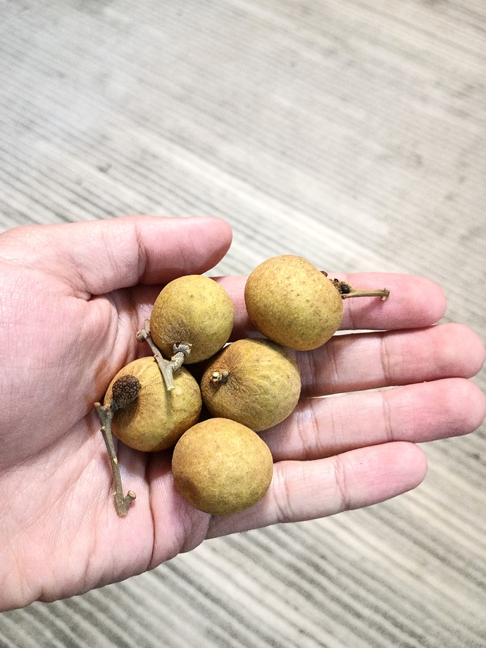 What is the name of this fruit?