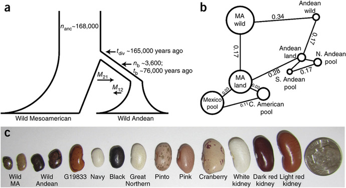 Do you consider selective breeding a kind of genetic engineering?