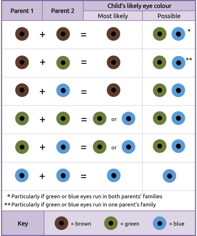 Did you know blue eye dogs are not the same genetic as blue eye human genetic?