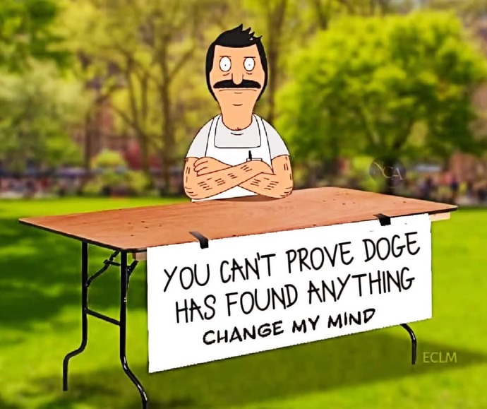 Who loves DOGE?