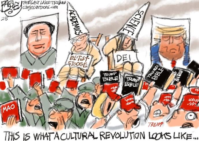 Instead of 3rd term can we change Trump's term to only 2 years and done?