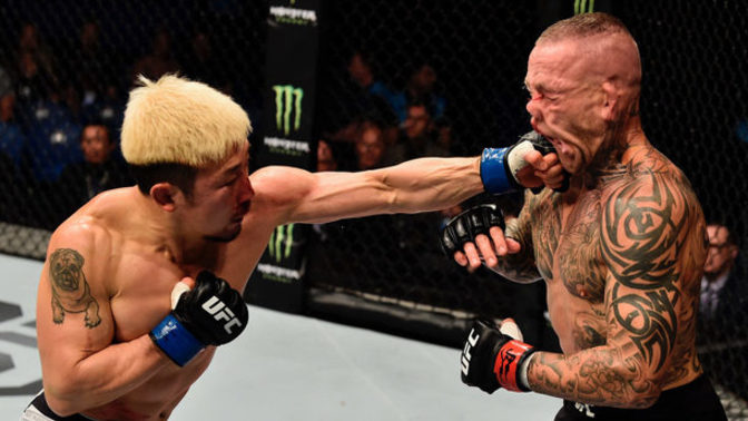 What is your opinion toward blood sports (e. g. boxing and hardcore wrestling)?