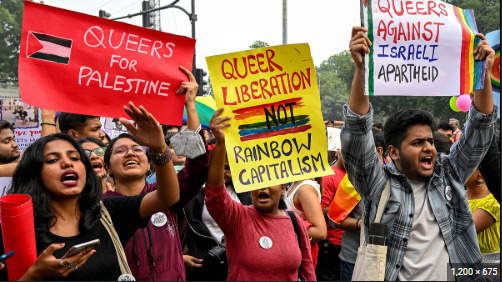 Are these the dumbest people on the planet? How long you figure they would last protesting like this in Gaza?