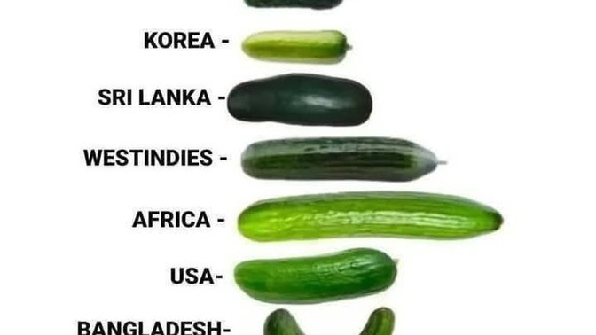Which country's cucumber would you like to eat?