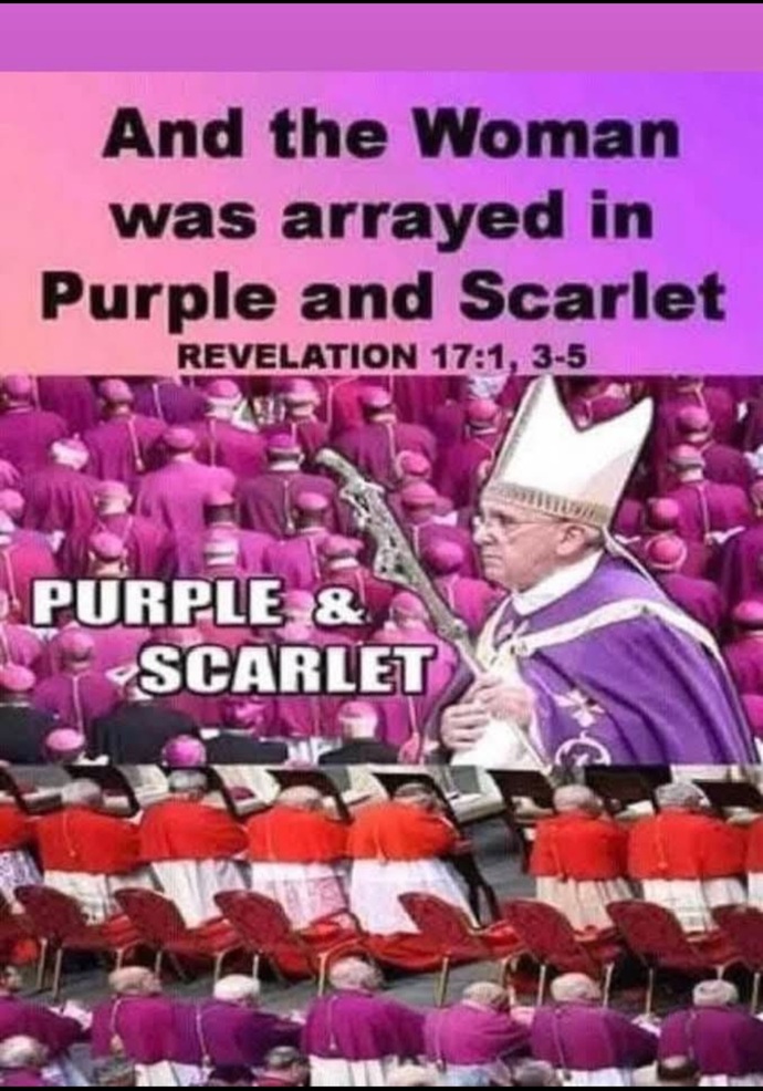 Catholics elect former child molestor enabler as the new "pope" right here in the USA. What do you think?