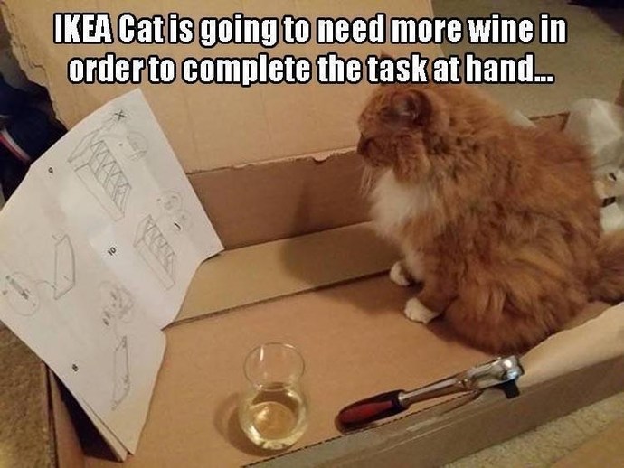Whats the real test of love: surviving IKEA furniture assembly or surviving a long car ride with no music?