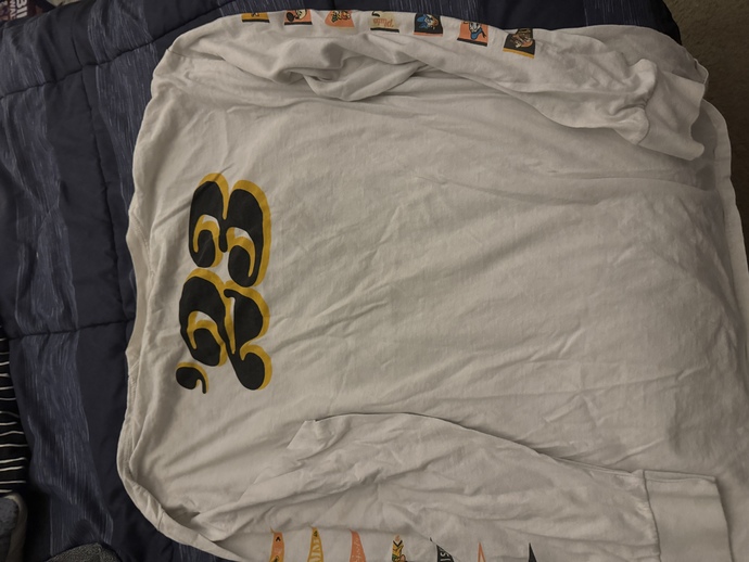 What would be a cooler sweatshirt to wear tomorrow at Disneyland?
