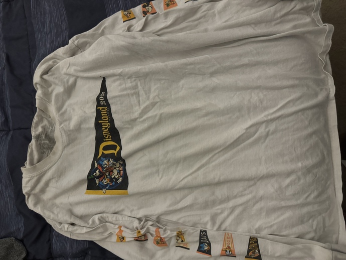 What would be a cooler sweatshirt to wear tomorrow at Disneyland?