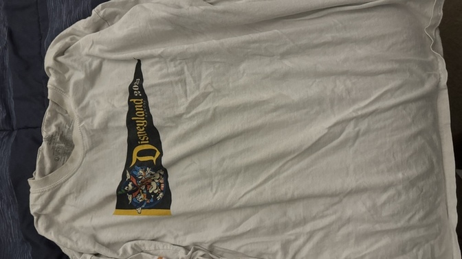 What would be a cooler sweatshirt to wear tomorrow at Disneyland?