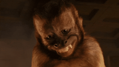 Do you have busted teeth?