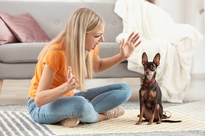 What’s the weirdest thing you’ve ever said to a pet (out loud)?