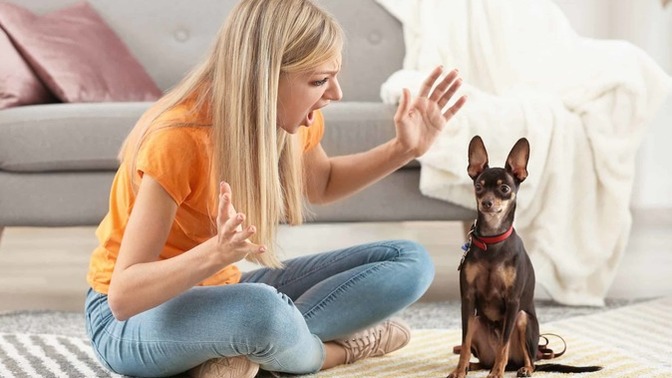 What’s the weirdest thing you’ve ever said to a pet (out loud)?