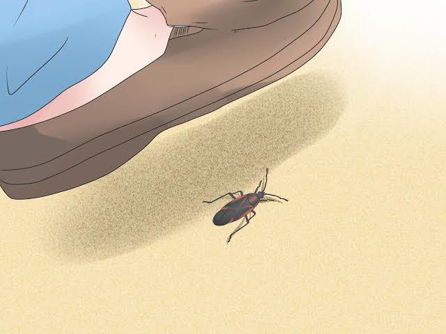 If you realize youre about to step on a bug, do you pull your foot back or dont care and step on it?