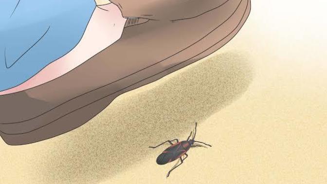 If you realize you're about to step on a bug, do you pull your foot back or don't care and step on it?