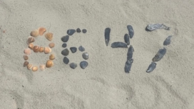 Are you upset about the "86 47" seashells that James Comey posted?