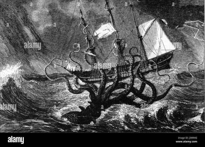 If you were to sail across the ocean, which sea creature you wouldnt like to see near your ship?